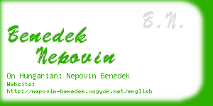 benedek nepovin business card